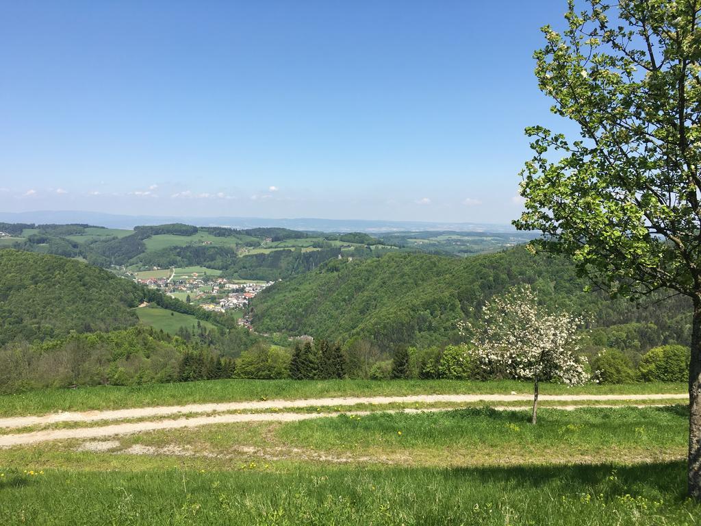 Ferienhaus Hochbrand Rabenstein Bagian luar foto